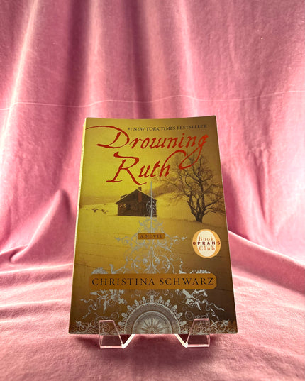 Drowning Ruth - Christina Schwarz (Paperback)