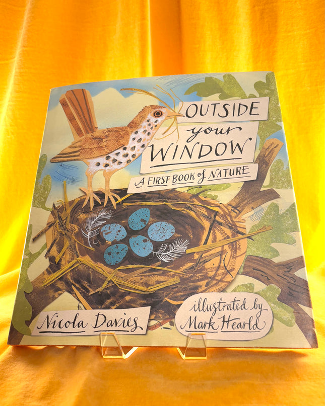 Outside Your Window: A First Book of Nature by Nicola Davies