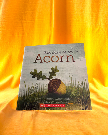 Because of an Acorn - Lola M. Schaefer & Adam Schaefer