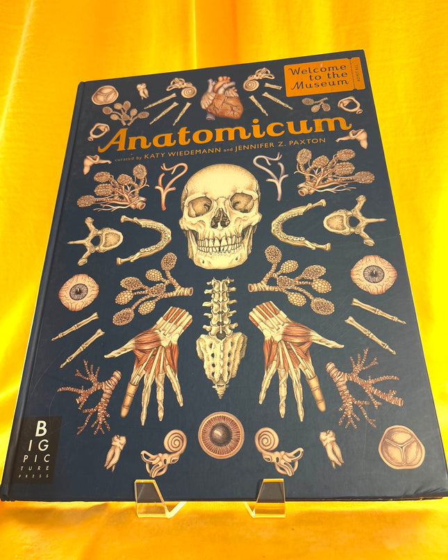 Anatomicum: Welcome to the Museum - Jennifer Z. Paxton