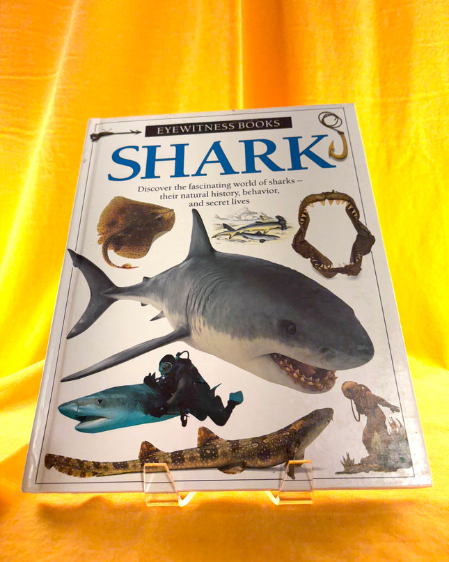 Eyewitness: Shark - Miranda Macquitty