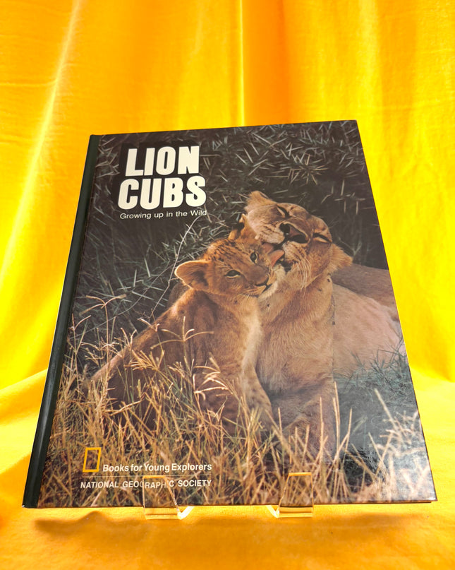 Lion Cubs - National Geographic (Vintage)