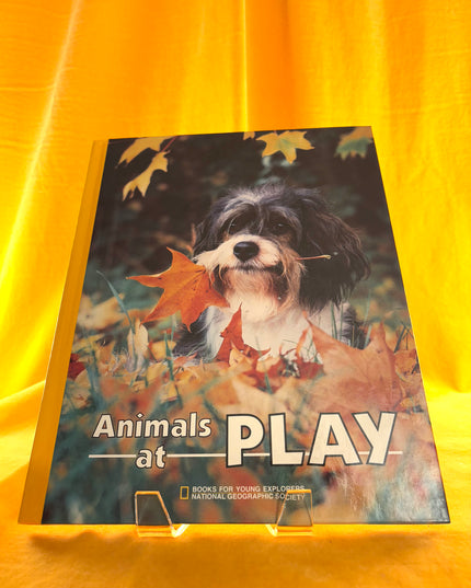 Animals At Play - National Geographic (Vintage)