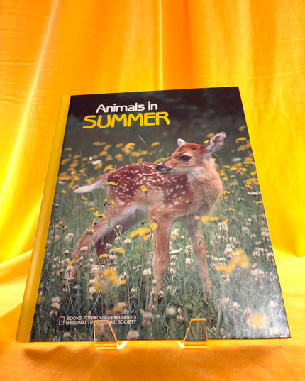 Animals In Summer - National Geographic (Vintage)