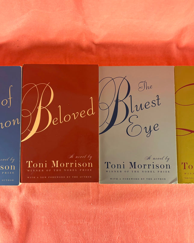 Toni Morrison Elegant Paperback Pack