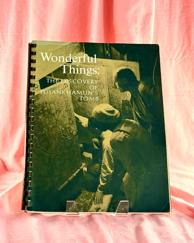 Book titled 'Wonderful Things: The Discovery of Tutankhamun's Tomb' on a pink background