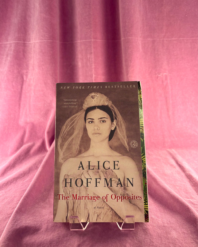 The Marriage of Opposites by Alice Hoffman
