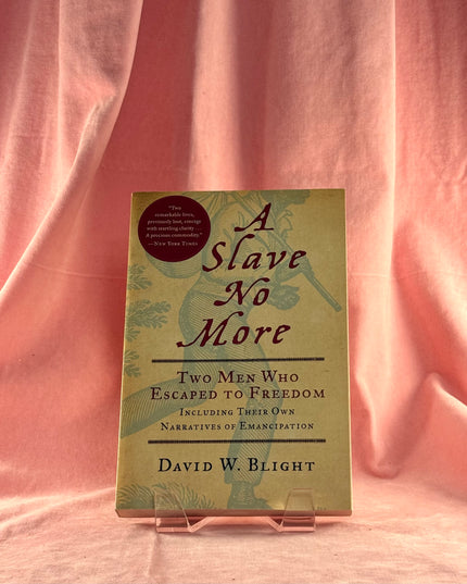 A Slave No More: Two Men Who Escaped to Freedom - David Blight