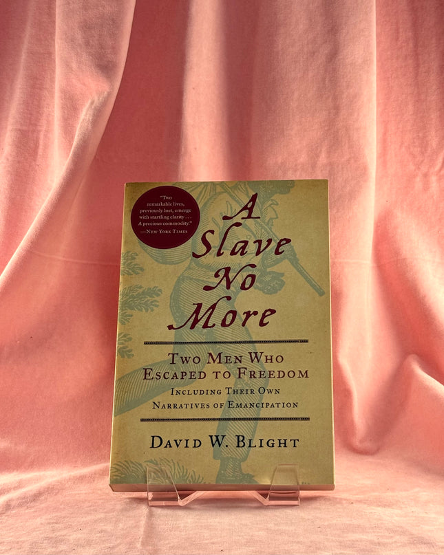 SLAVE NO MORE PA by Blight Blight