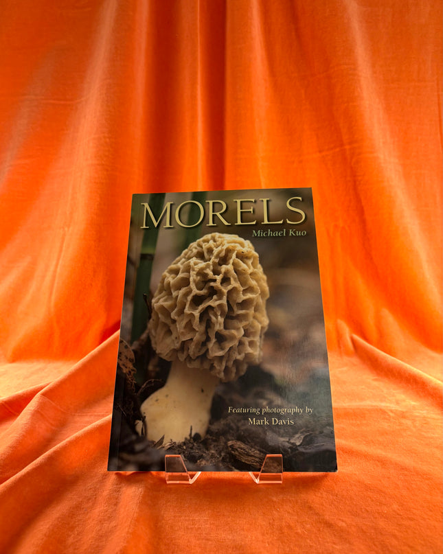 Morels by Michael Kuo