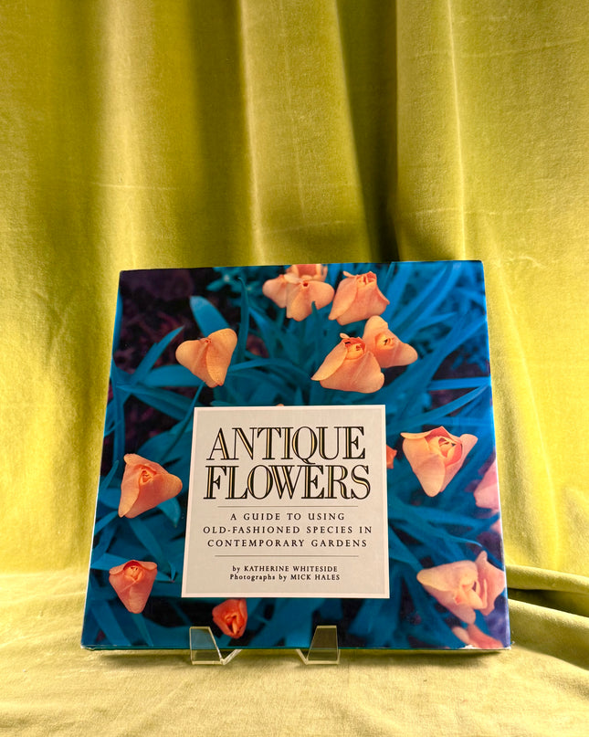Antique Flowers: A Guide to Using Old-Fashioned Species in Contemporary Gardens by Katherine Whiteside