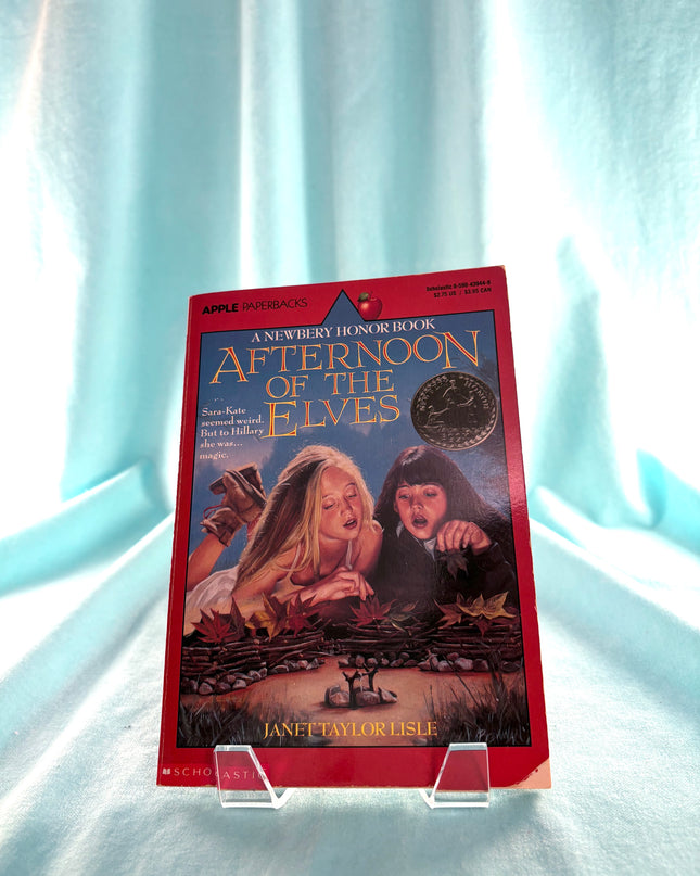 Afternoon of the Elves by Janet Taylor Lisle