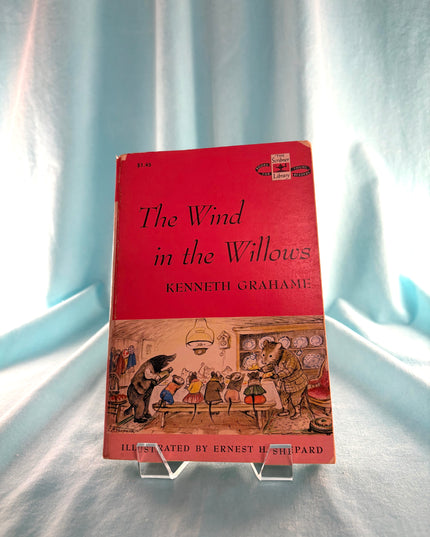 Book titled 'The Wind in the Willows' by Kenneth Grahame on a white background