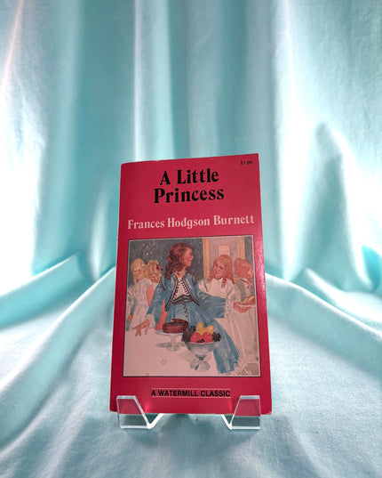 Book titled 'A Little Princess' by Frances Hodgson Burnett on a light blue fabric background