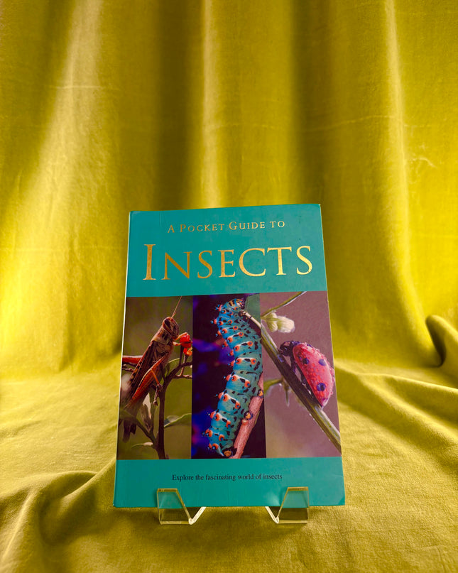 A Pocket Guide to Insects - Patrick Hook