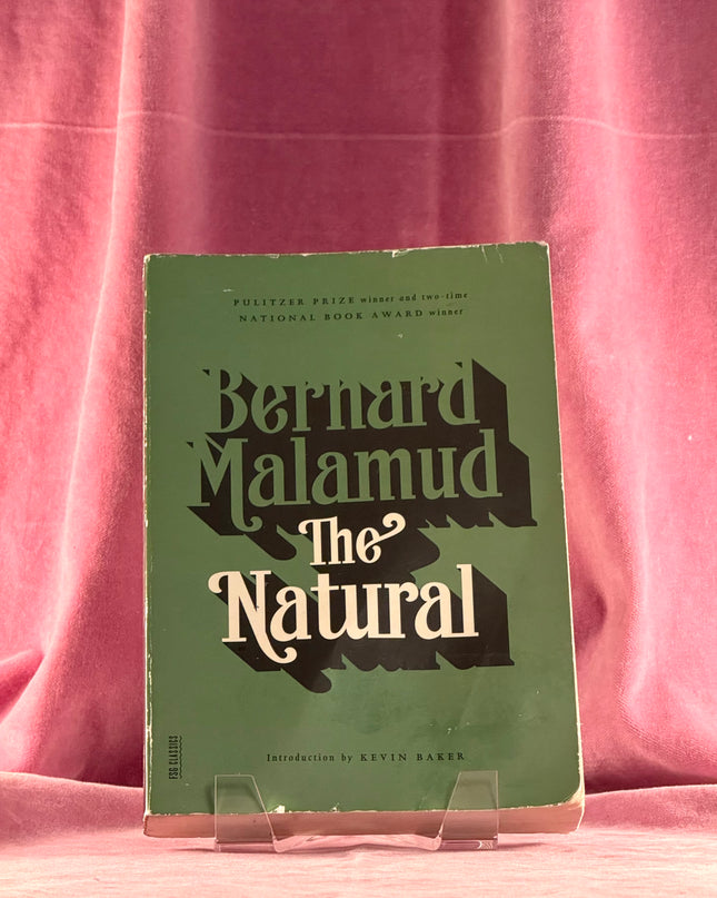The v by Bernard Malamud