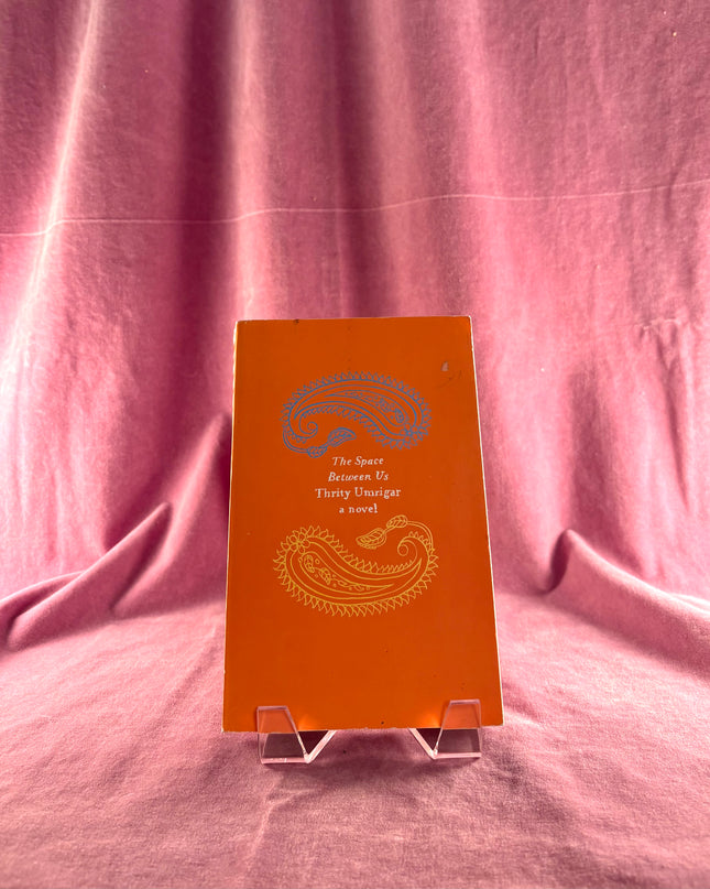 The Space Between Us: A Novel by Thrity Umrigar