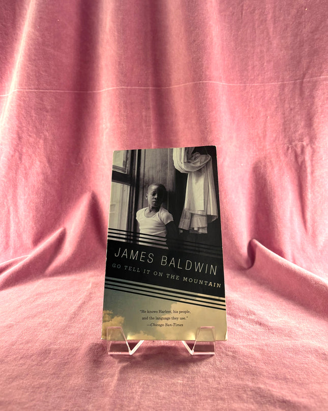 Go Tell It on the Mountain by James Baldwin
