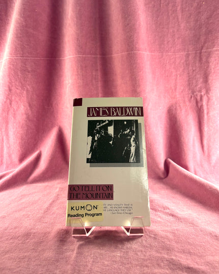 Go Tell It on the Mountain - James Baldwin (Vintage)