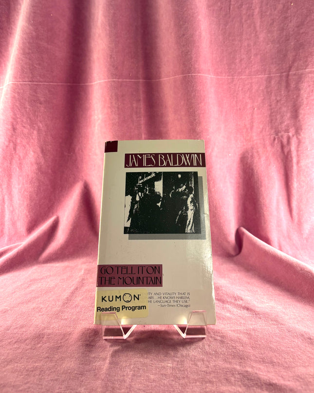 Go Tell It on the Mountain (Vintage International) by James Baldwin